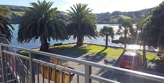 1-bedroom suite outside